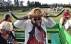 Voyage en Camargue